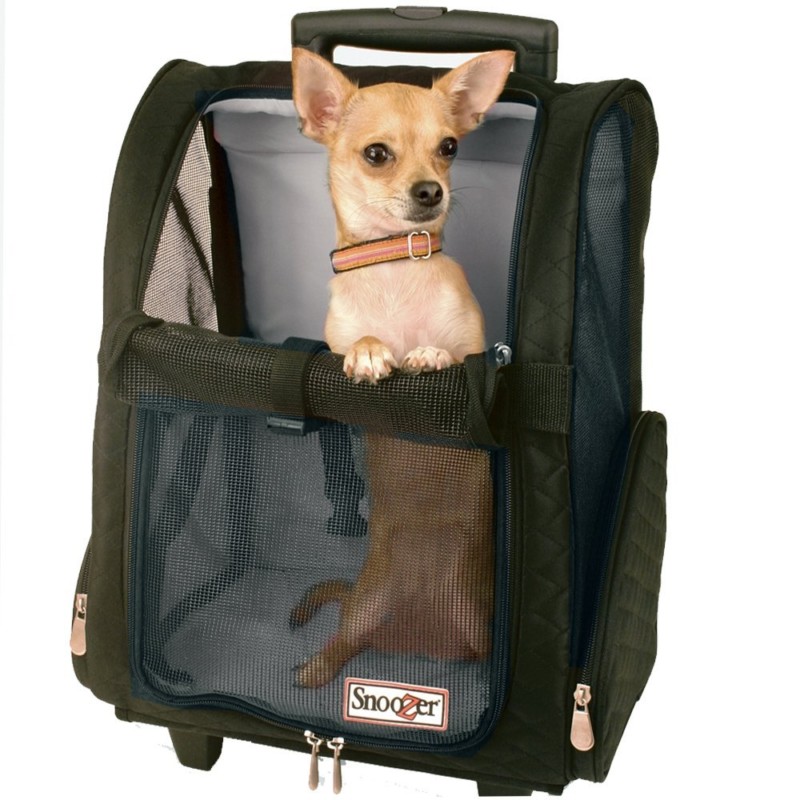 A Complete Guide To Choosing The Right Dog Travel Bag : Luggage Portal