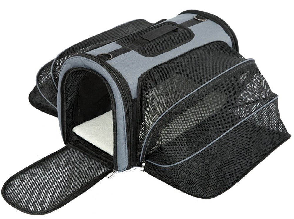 A Complete Guide To Choosing The Right Dog Travel Bag Luggage Portal